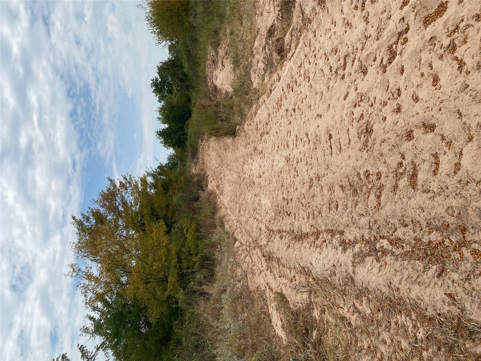 0 Mac Frazier Road Leon, OK 73441 - Photo 14 of 28 Gallery Image 14