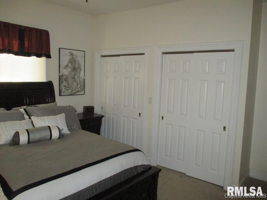 1141 North 5th Street Springfield, IL 62702 - Photo 17 of 28 Gallery Image 17