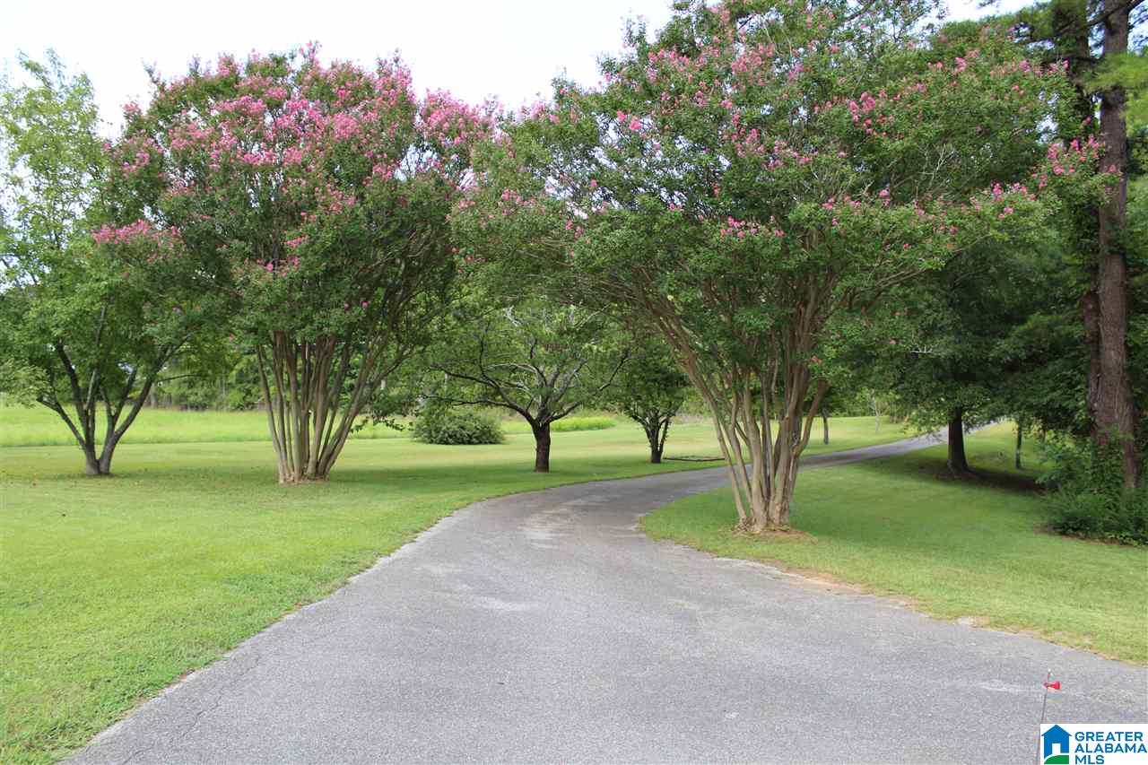 1835 Southeast White Gap Road Jacksonville, AL 36265 - Photo 2 of 20