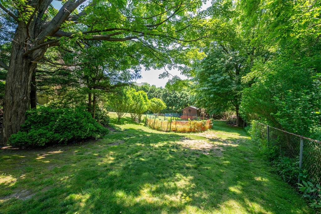 297 Granby Road Chicopee, MA 01013 - Photo 36 of 40 a view of a back yard
