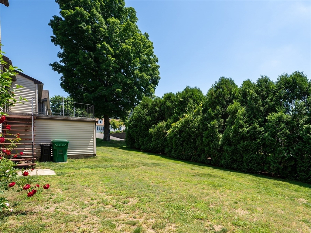 297 Granby Road Chicopee, MA 01013 - Photo 37 of 40 a backyard of a house with lots of green space