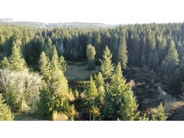 a black and white photo of a lake