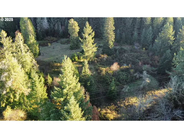 a black and white photo of a house