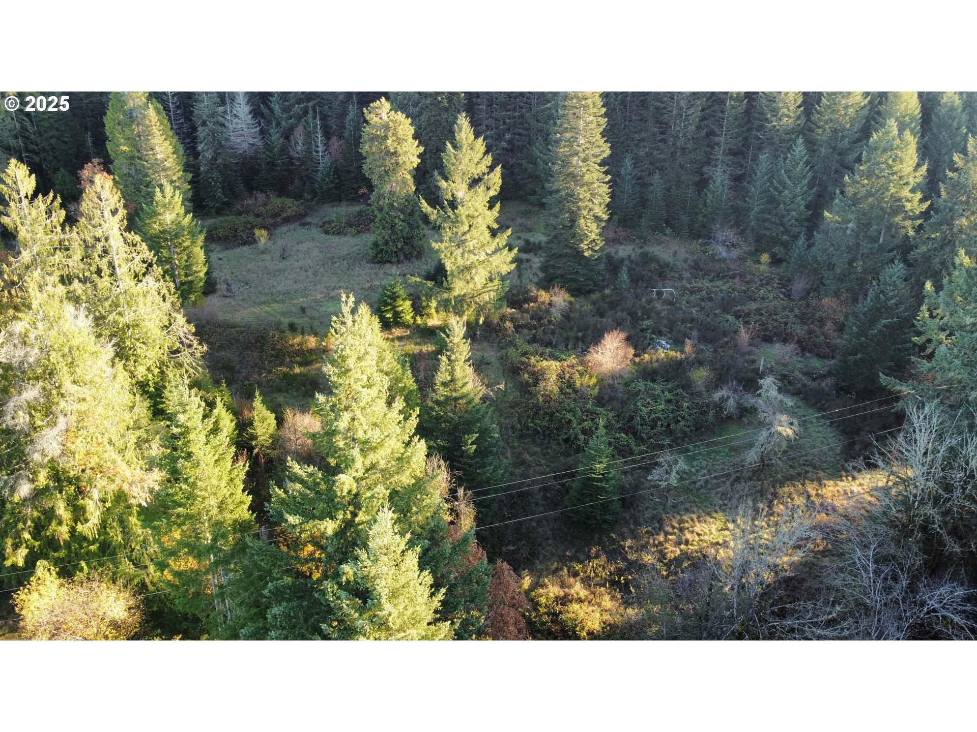 Hard Cash Lane Camas Valley, OR 97416 - Photo 12 of 34 a black and white photo of a lake