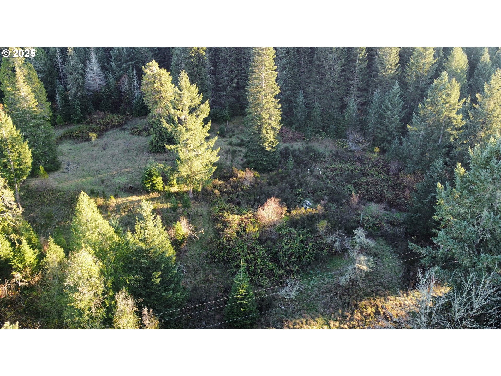 Hard Cash Lane Camas Valley, OR 97416 - Photo 13 of 34 a black and white photo of a house