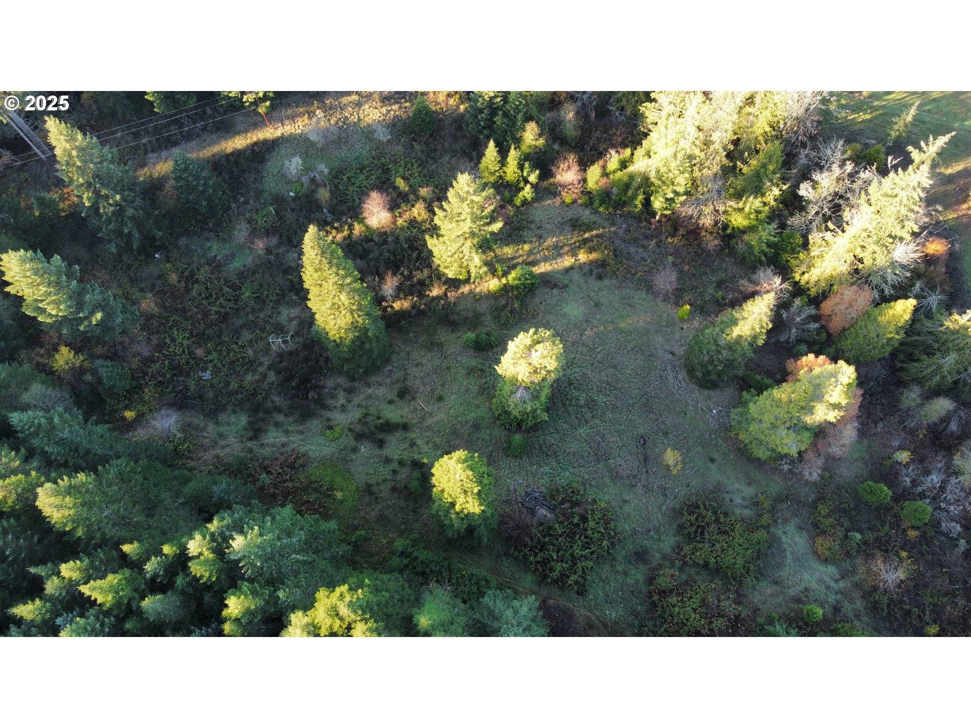 Hard Cash Lane Camas Valley, OR 97416 - Photo 14 of 34 a bathroom with a sink and mirror