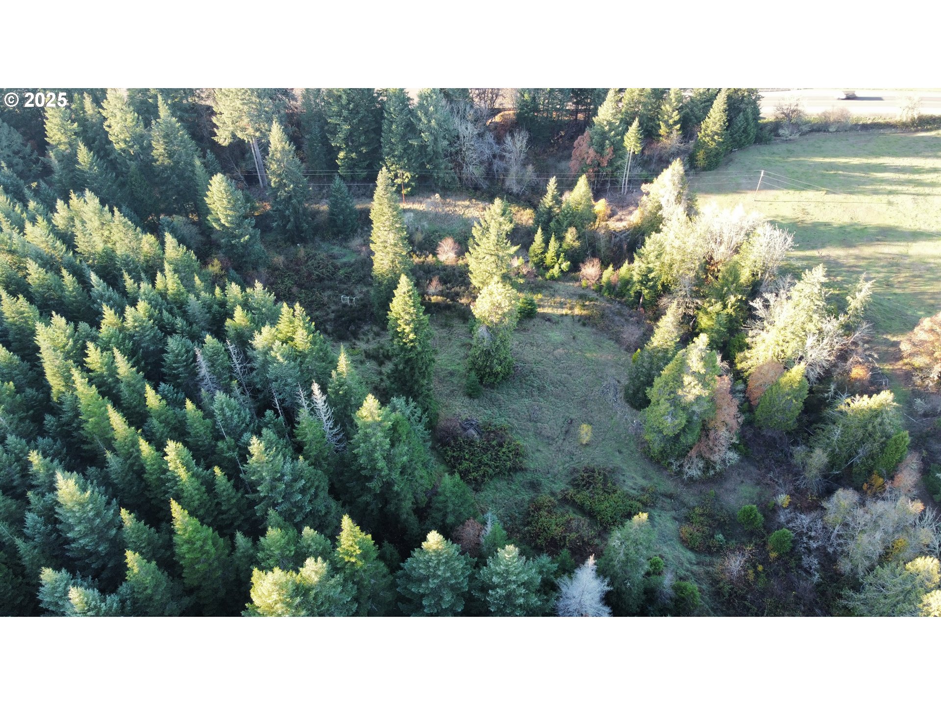Hard Cash Lane Camas Valley, OR 97416 - Photo 15 of 34 a black and white photo of a house