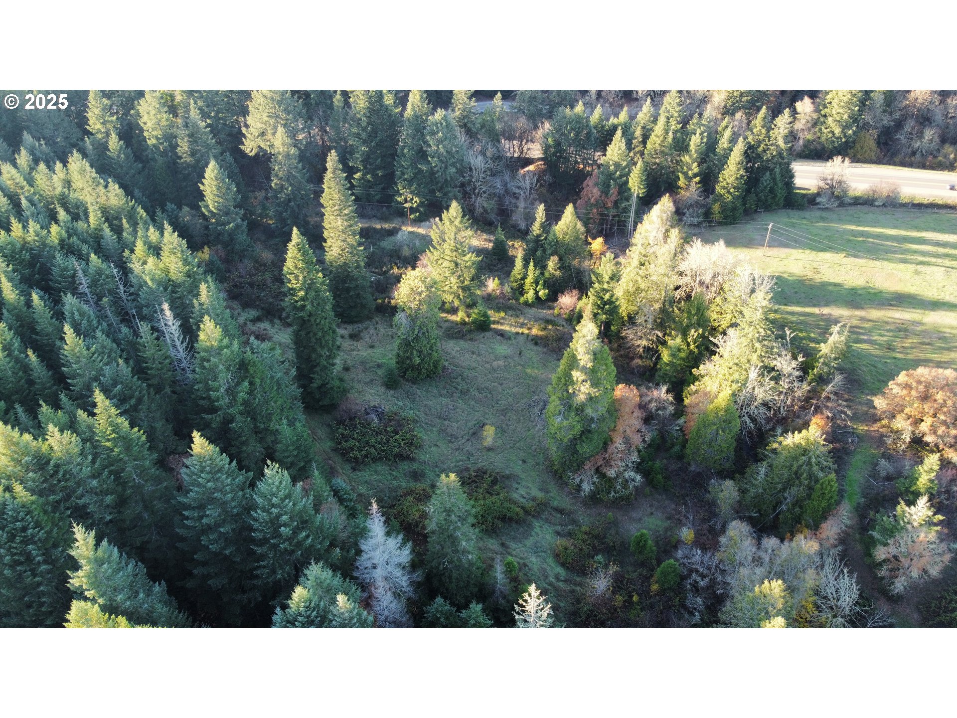 Hard Cash Lane Camas Valley, OR 97416 - Photo 16 of 34 a black and white photo of a house