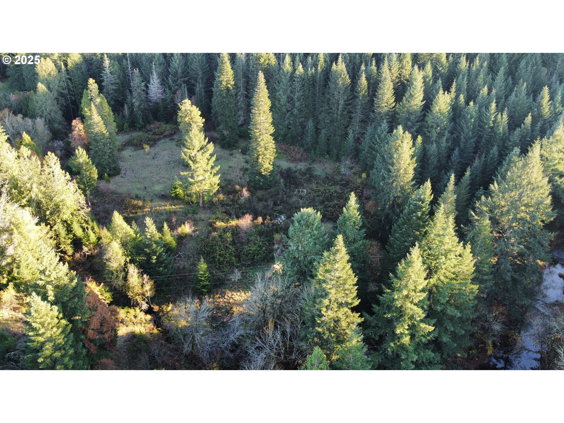 Hard Cash Lane Camas Valley, OR 97416 - Photo 18 of 34 a open area with a yard