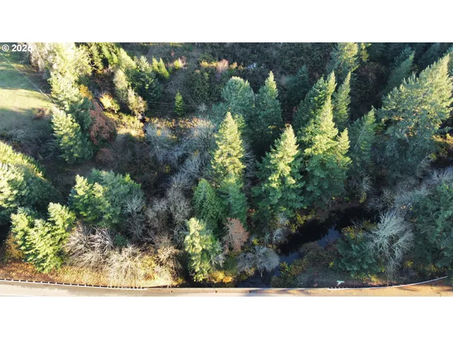 a open area with green trees