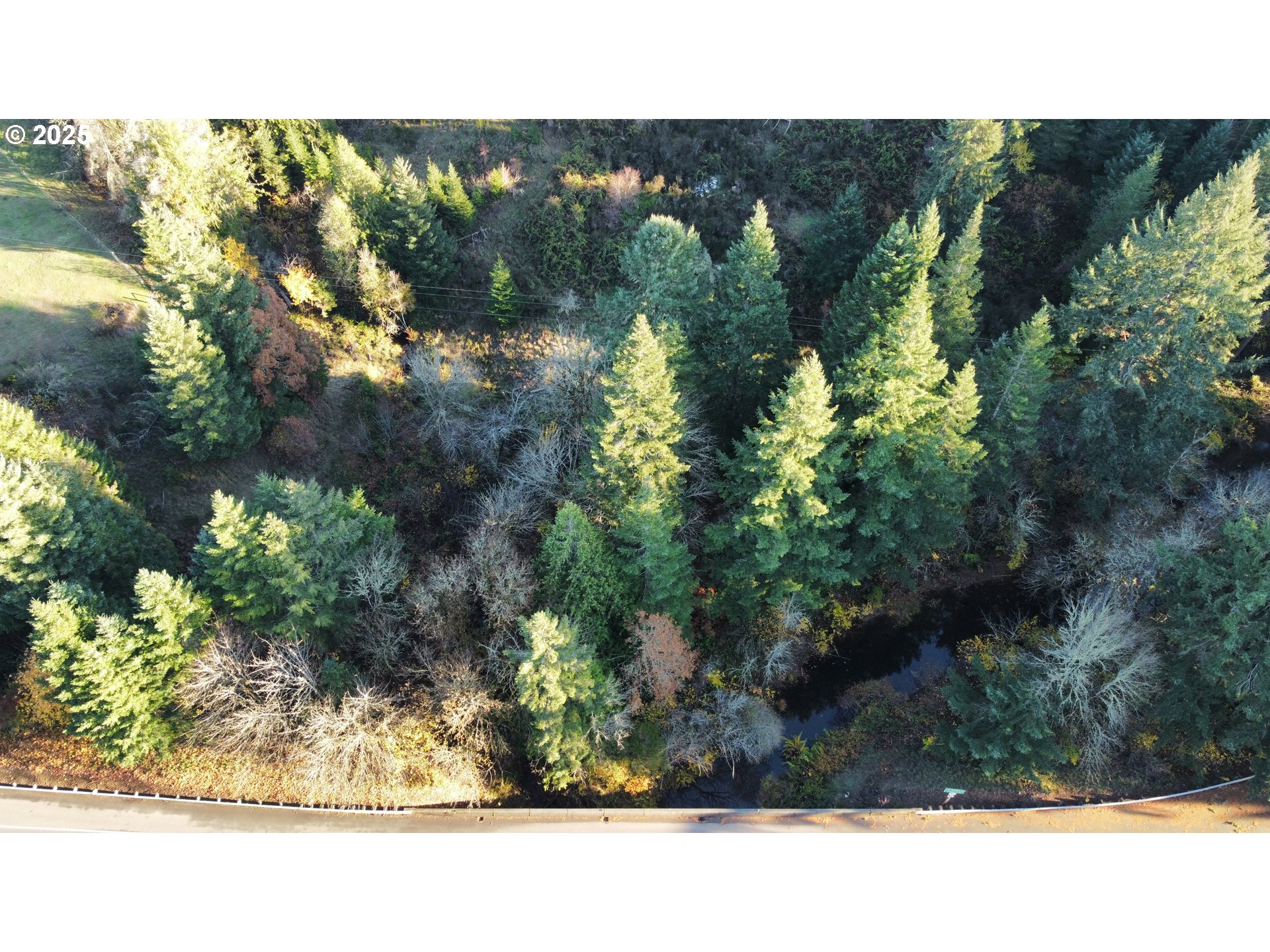 Hard Cash Lane Camas Valley, OR 97416 - Photo 19 of 34 a outdoor view