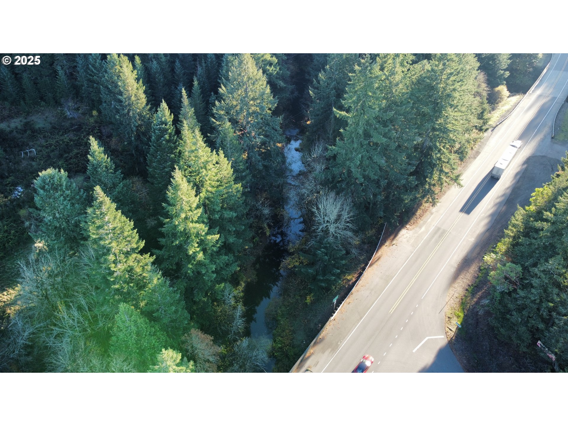 Hard Cash Lane Camas Valley, OR 97416 - Photo 20 of 34 a open area with green trees