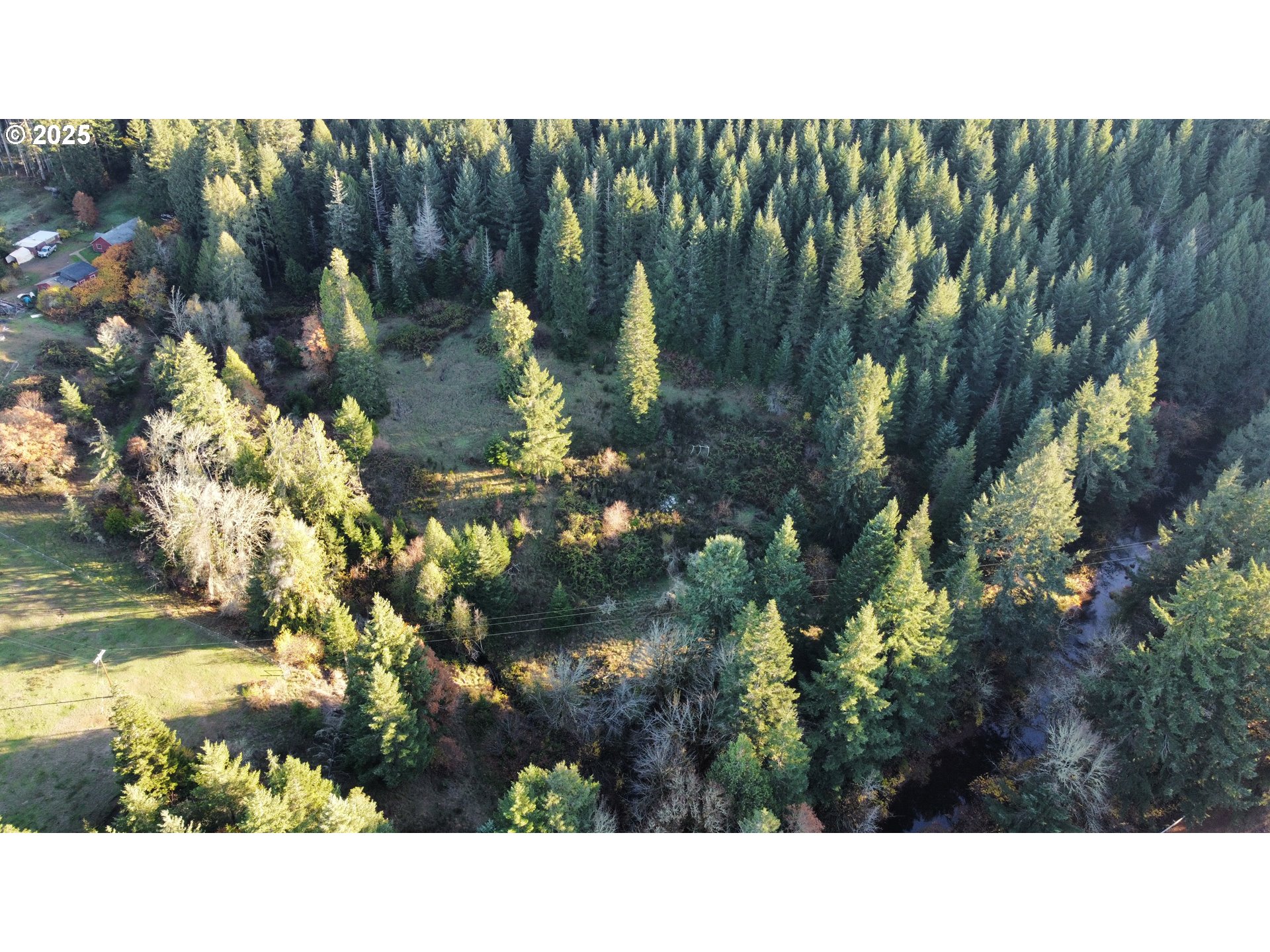 Hard Cash Lane Camas Valley, OR 97416 - Photo 2 of 34 a black and white photo of a house