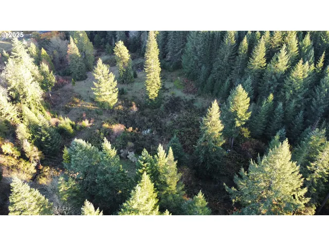 a black and white photo of a house