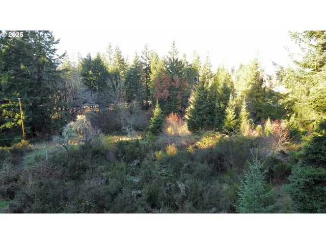 a black and white photo of a house