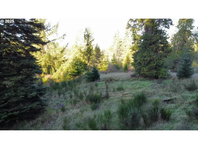 a black and white photo of a house