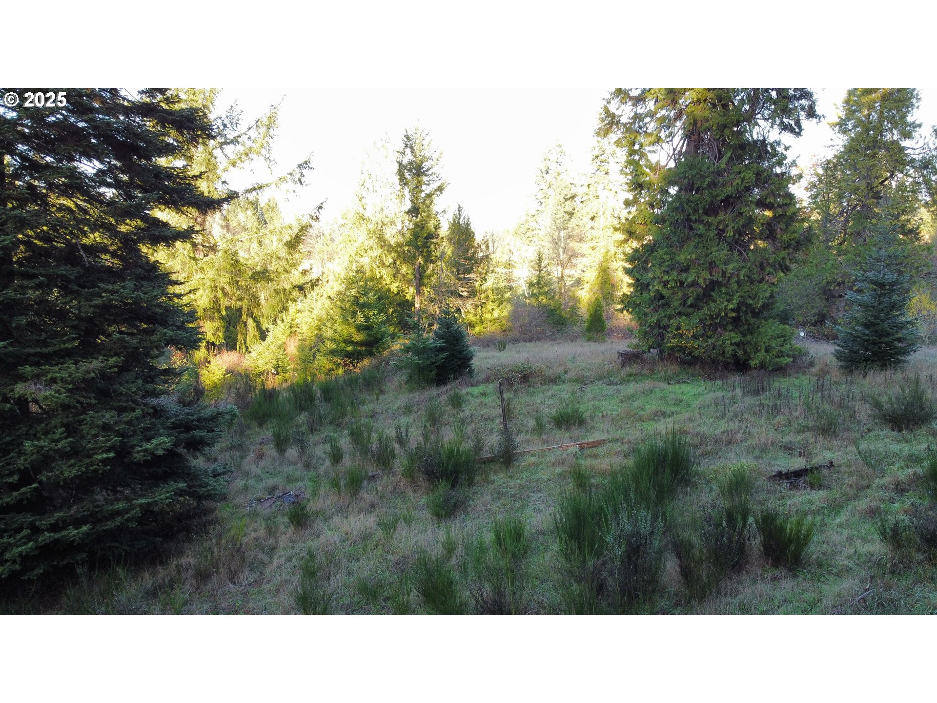 Hard Cash Lane Camas Valley, OR 97416 - Photo 25 of 34 a black and white photo of a house