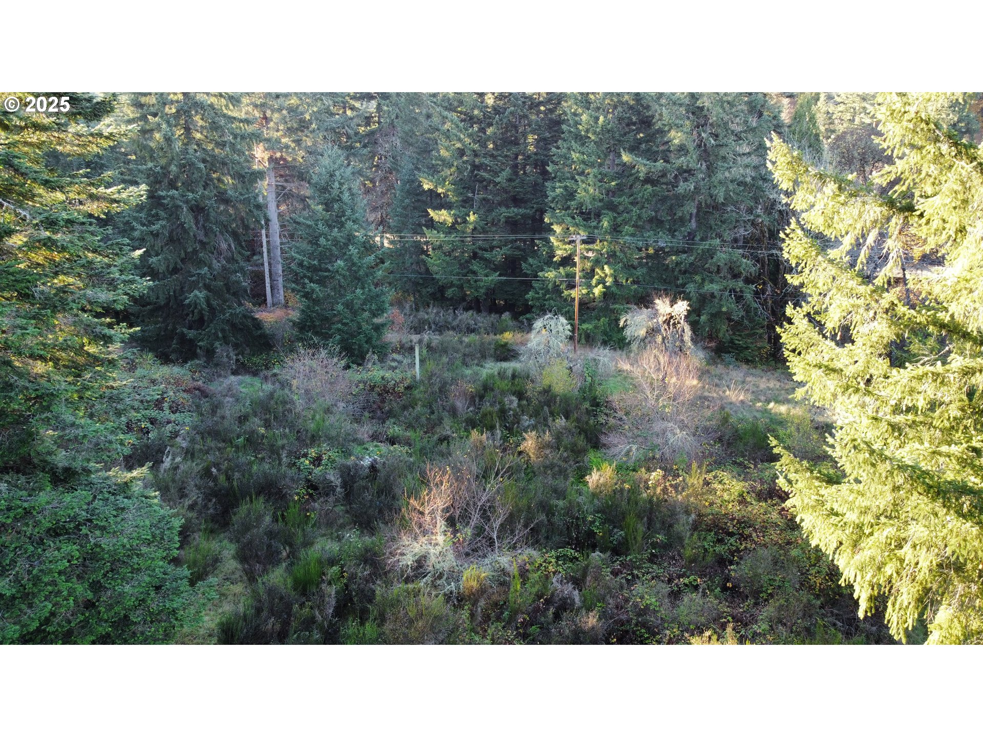 Hard Cash Lane Camas Valley, OR 97416 - Photo 26 of 34 a black and white photo of a house