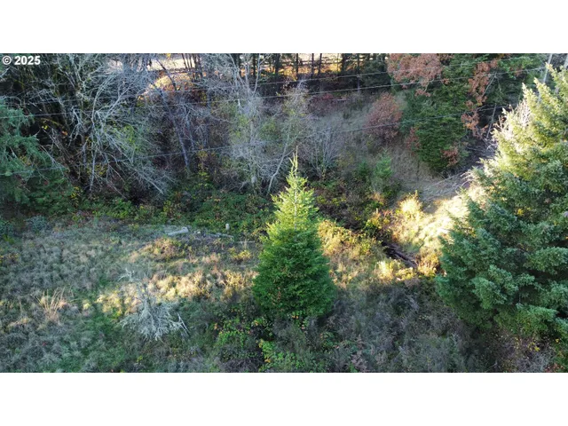 a black and white photo of a house