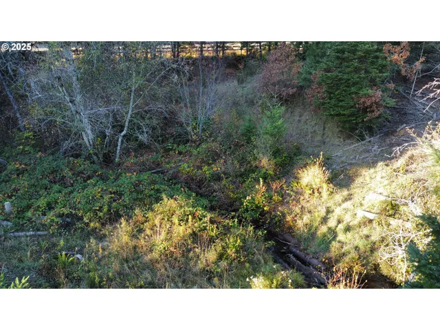 a open area with trees in the background