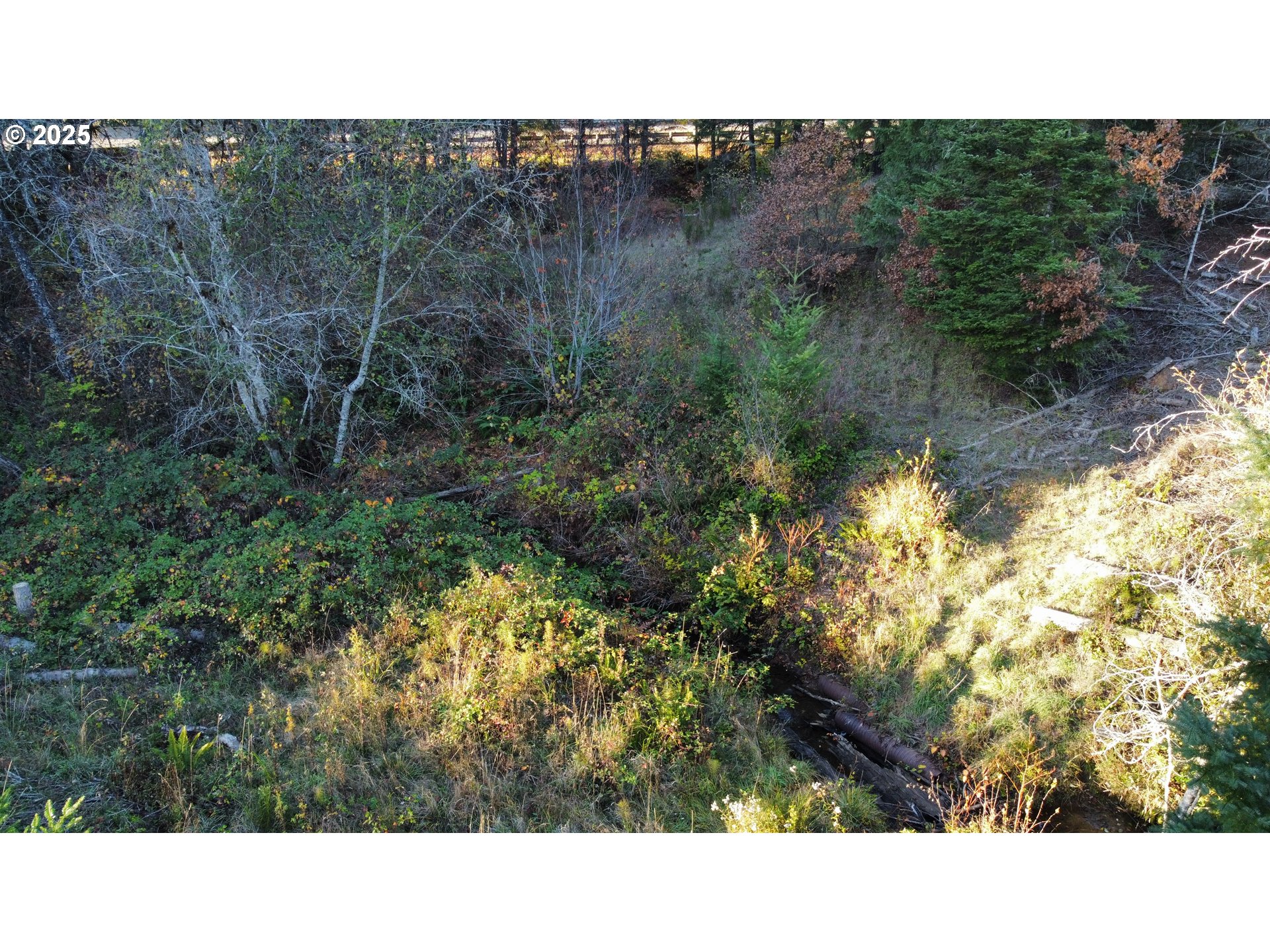 Hard Cash Lane Camas Valley, OR 97416 - Photo 28 of 34 a black and white photo of a house