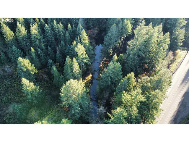 a black and white photo of a house