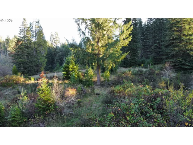 a black and white photo of a house
