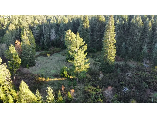 a black and white photo of a lake