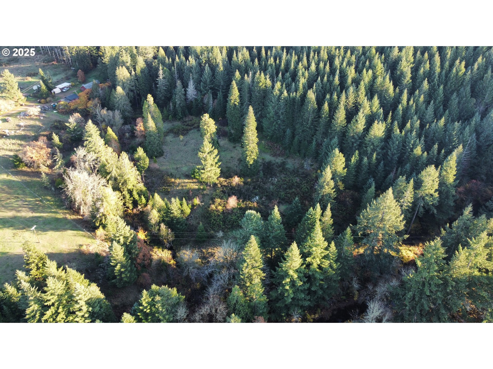 Hard Cash Lane Camas Valley, OR 97416 - Photo 6 of 34 a black and white photo of a house