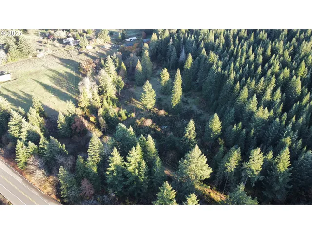 a black and white photo of a house