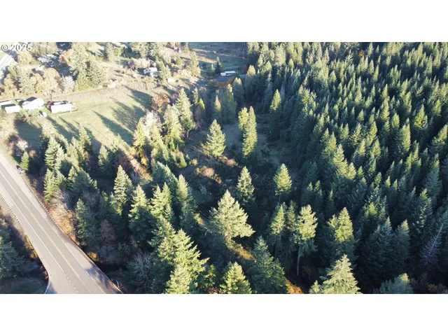 a black and white photo of a house