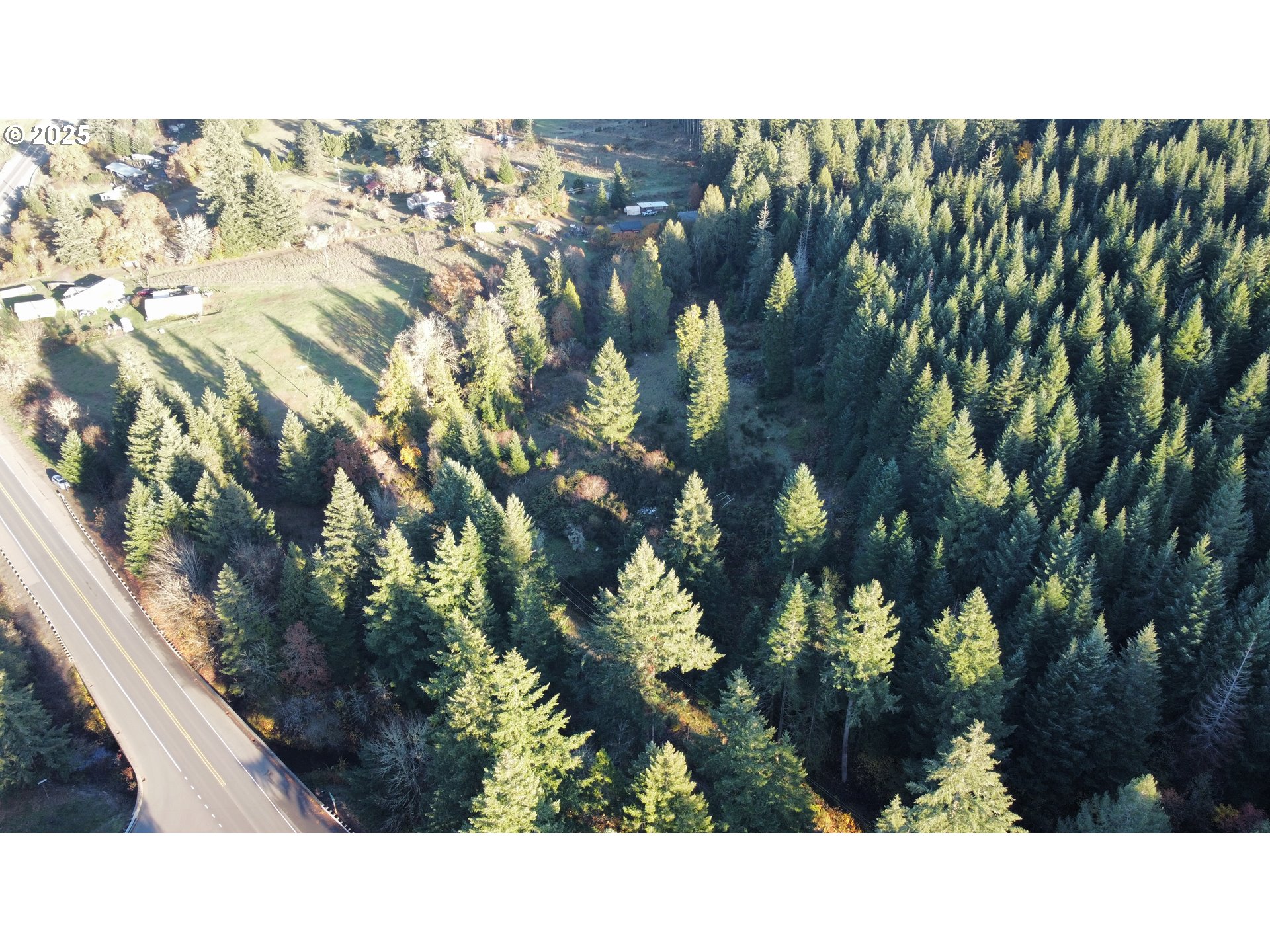 Hard Cash Lane Camas Valley, OR 97416 - Photo 8 of 34 a black and white photo of a house