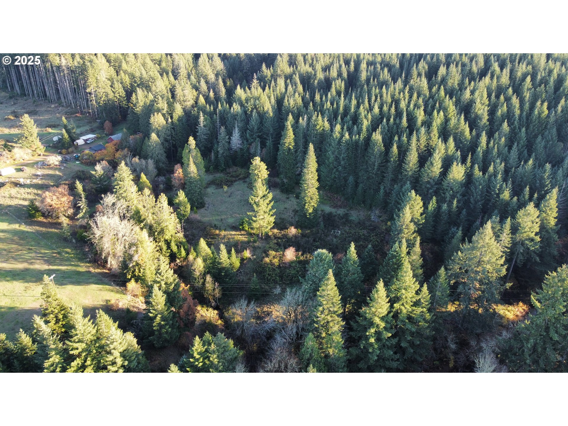 Hard Cash Lane Camas Valley, OR 97416 - Photo 9 of 34 a black and white photo of a house