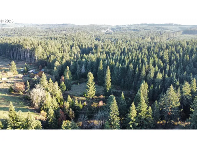 a black and white photo of a lake