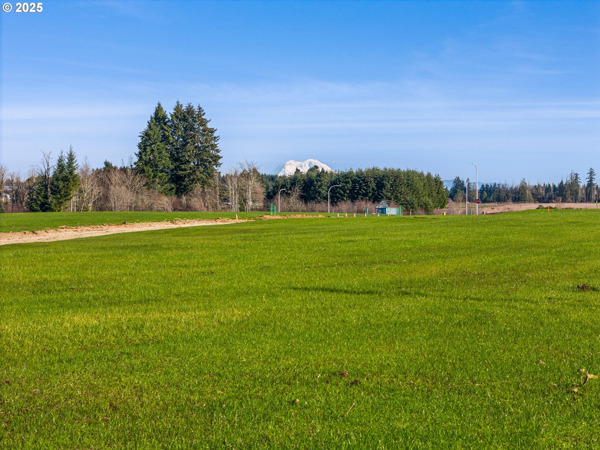 423 Kakela Road, Unit 8 Winlock, WA 98596 - Photo 29 of 35 a view of a big yard with a large trees
