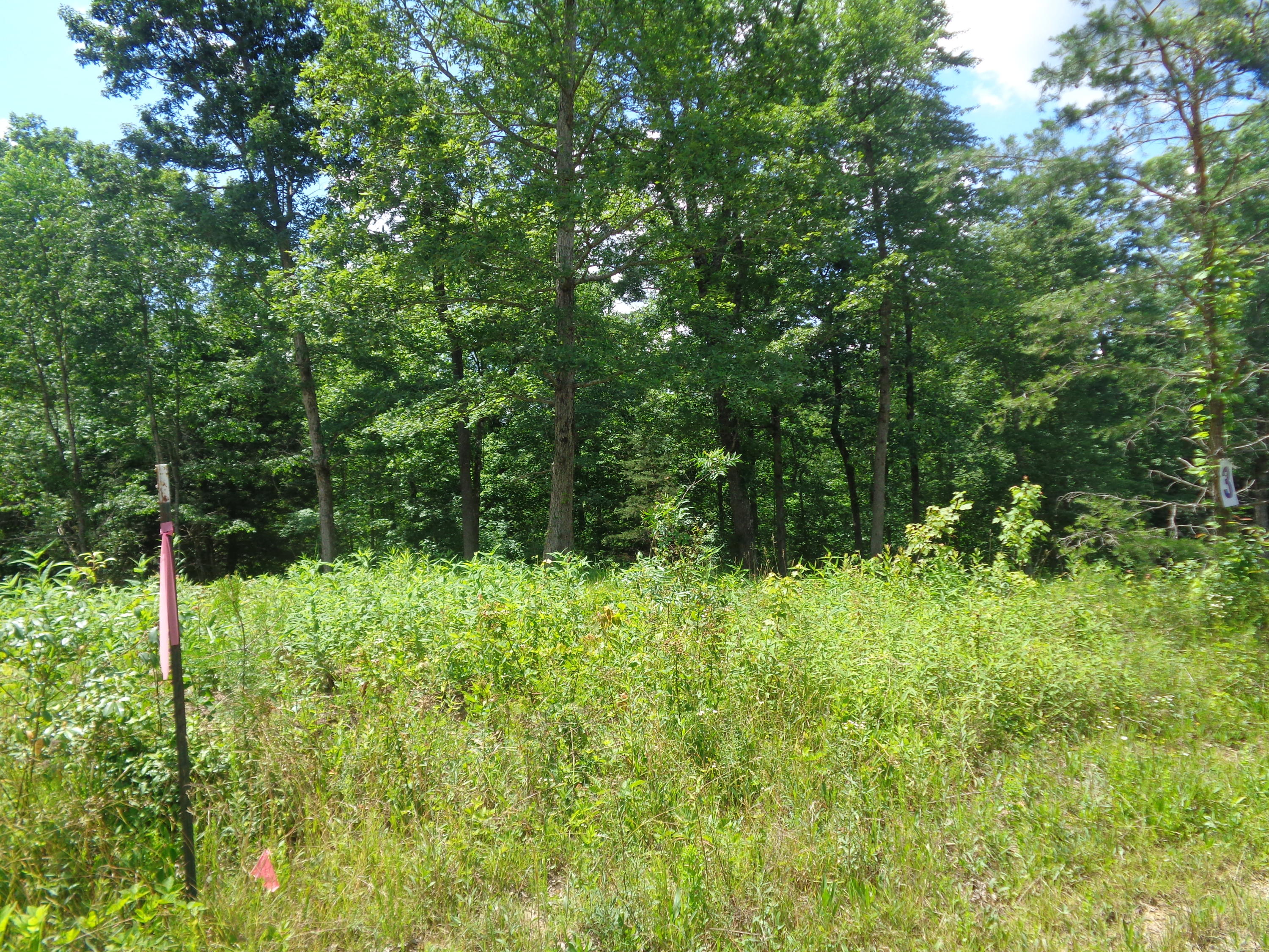 Lot 3 Fount Hubbard Road London, KY 40741 - Photo 19 of 25 DSC04873