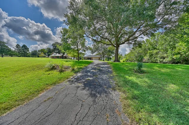 a view of a grassy field with trees