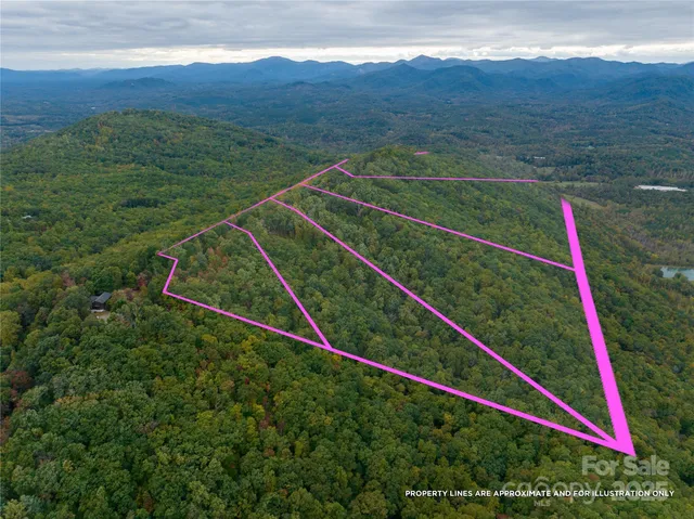 a view of a mountain in the distance in a forest