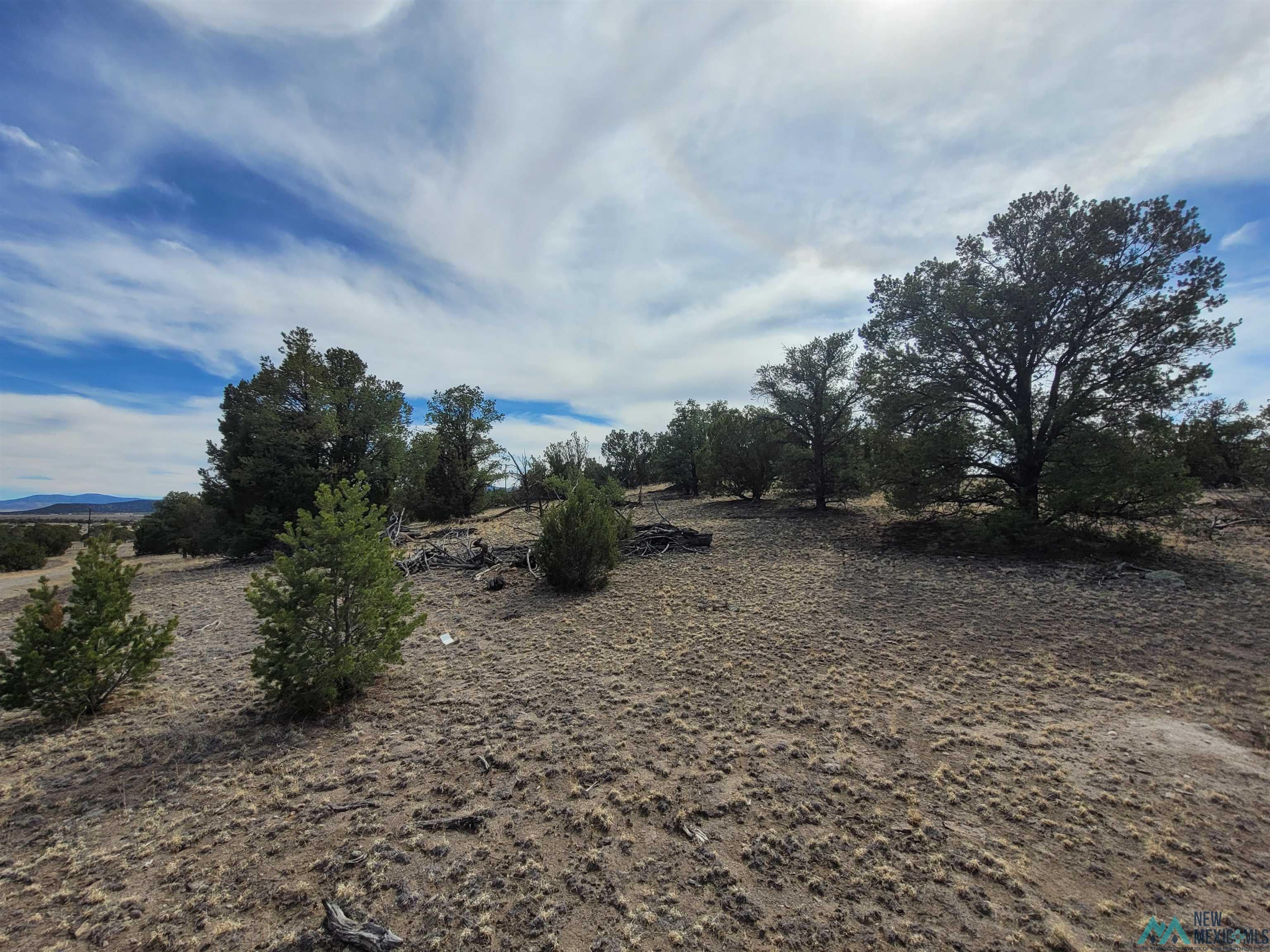 47 Cougar Run Datil, NM 87821 - Photo 37 of 38 Gallery Image 37