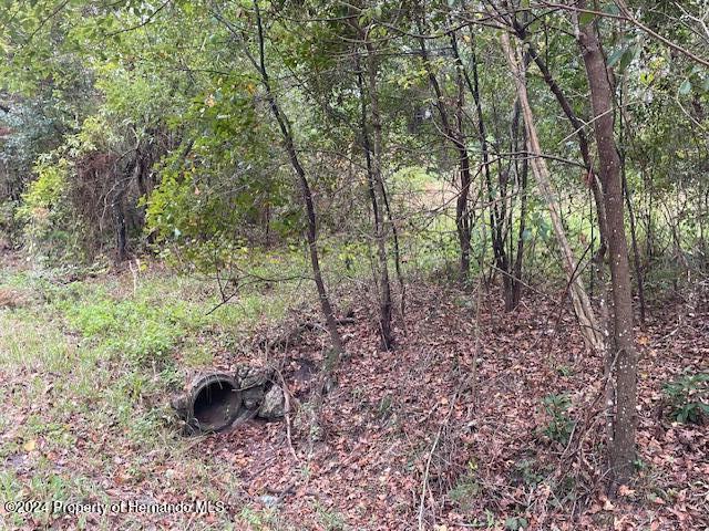 0 Mitchell Road Brooksville, FL 34601 - Photo 7 of 12