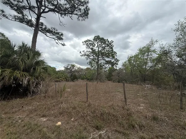 a view of a yard with a tree