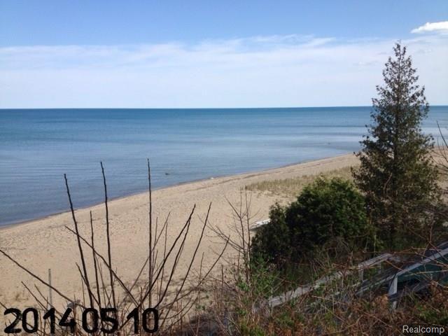 5055 Lakeshore Road Lexington, MI 48450 - Photo 6 of 22 photo 2.jpg