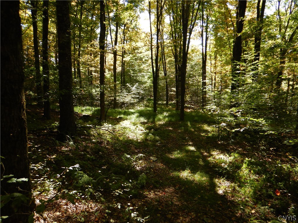 Phillips Road Windsor, NY 13865 - Photo 28 of 43 Gallery Image 28