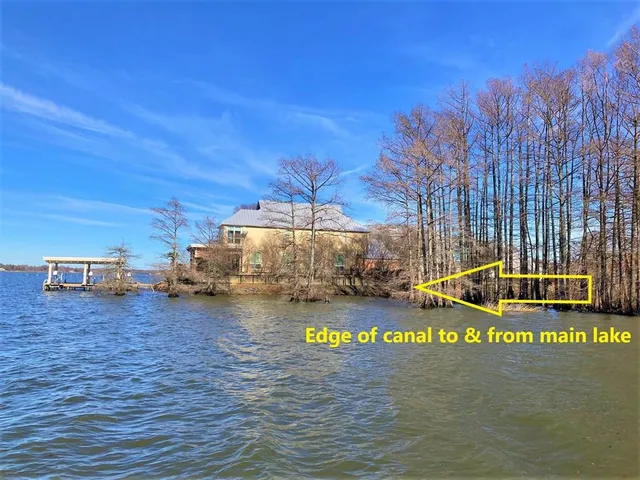 a view of a street with trees
