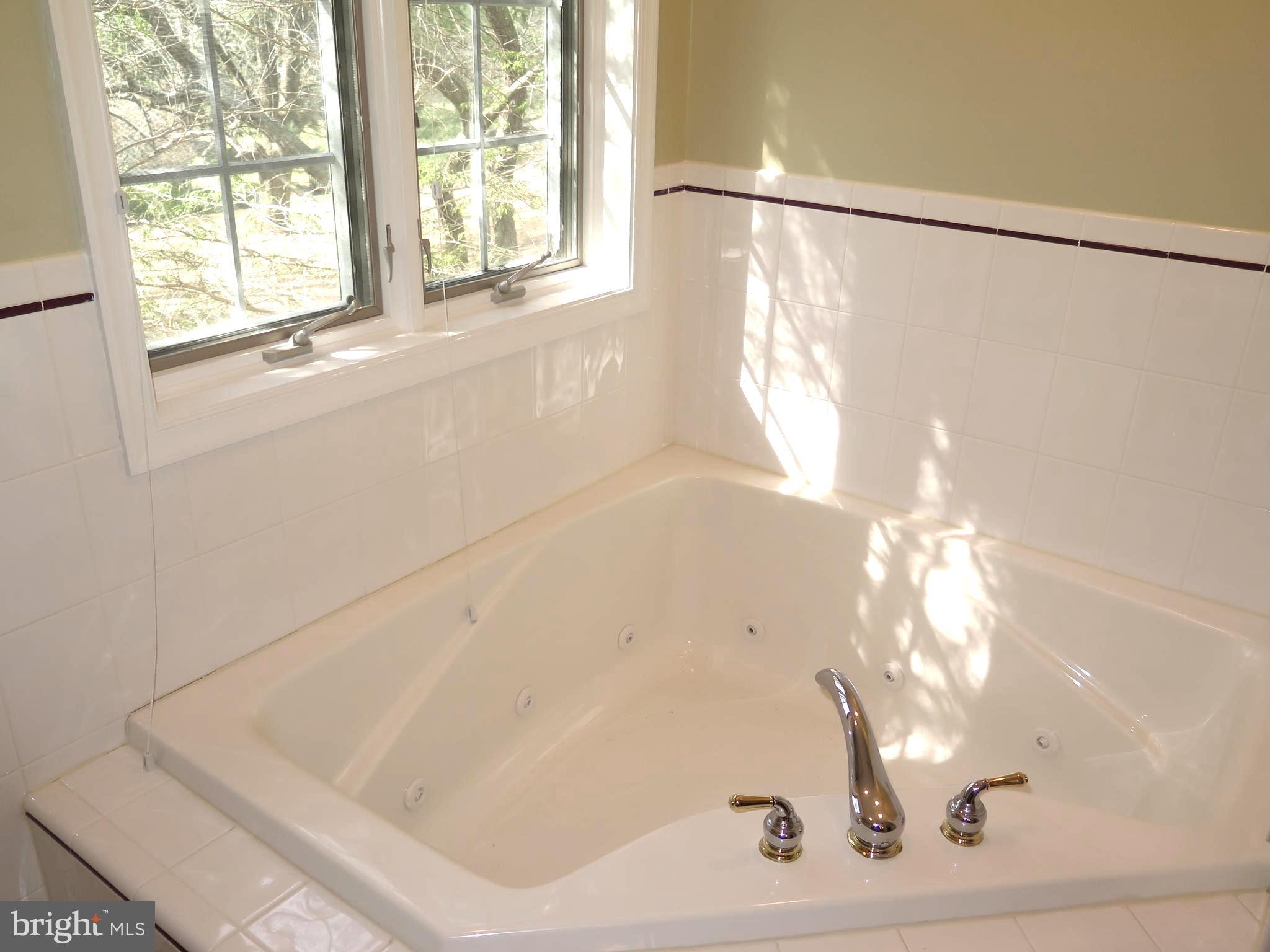 376 Mt Alverno Road Media, PA 19063 - Photo 29 of 50 Master Bath - Jetted Soaking Tub