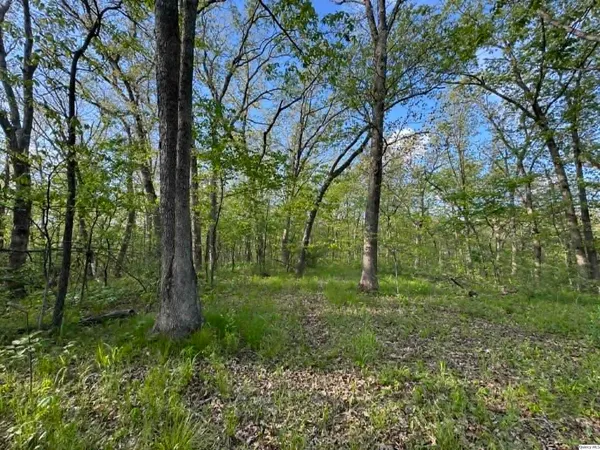 $385,000 | 20573 250th Street, Lewistown, MO 63452