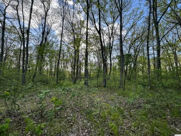 $385,000 | 20573 250th Street, Lewistown, MO 63452