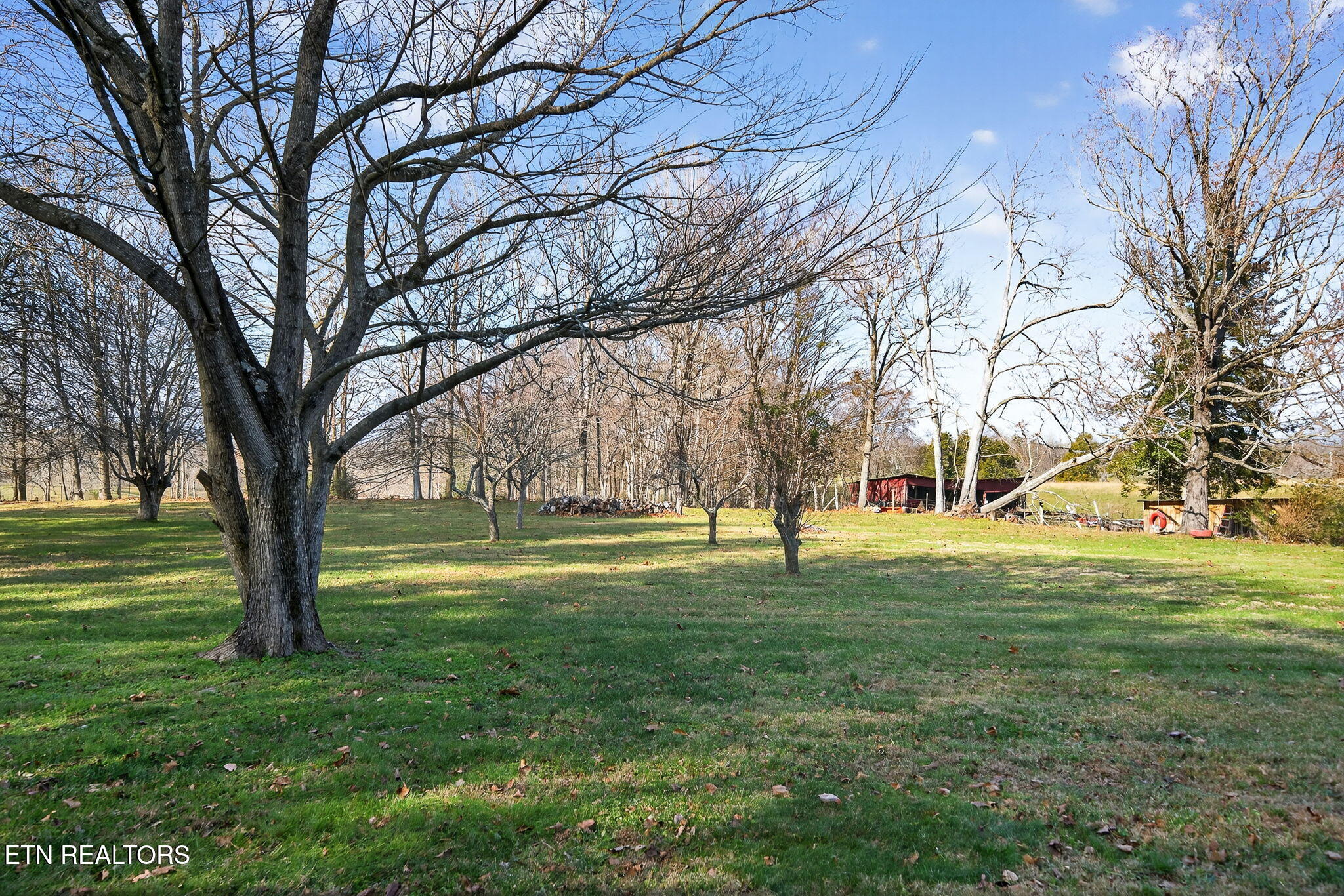 301 Beaty Swamp Road Monroe, TN 38573 - Photo 13 of 49 13-web-or-mls-301 Beaty Swamp Rd_062_TNP