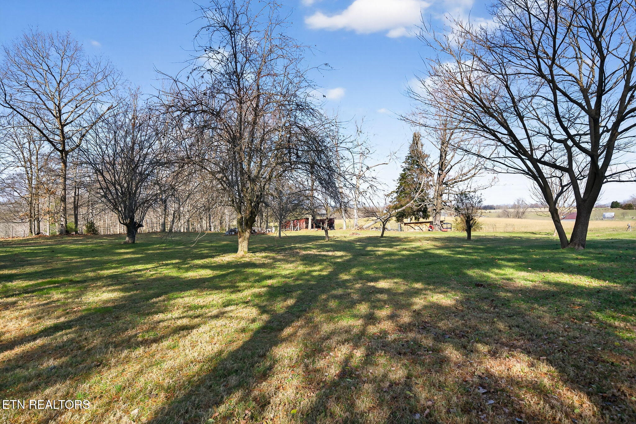 301 Beaty Swamp Road Monroe, TN 38573 - Photo 14 of 49 14-web-or-mls-301 Beaty Swamp Rd_067_TNP