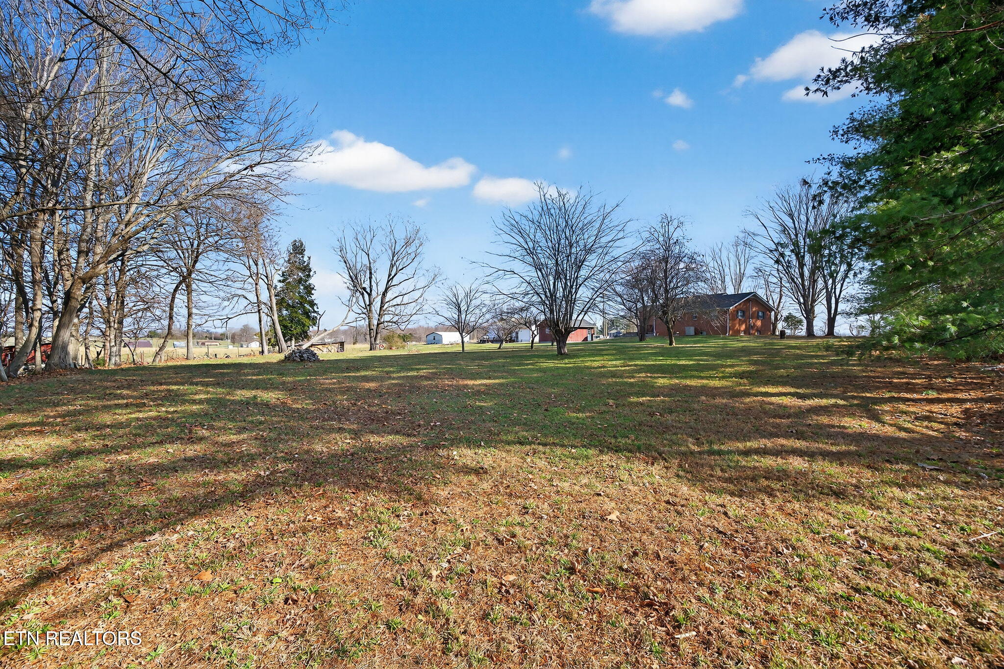 301 Beaty Swamp Road Monroe, TN 38573 - Photo 16 of 49 16-web-or-mls-301 Beaty Swamp Rd_079_TNP